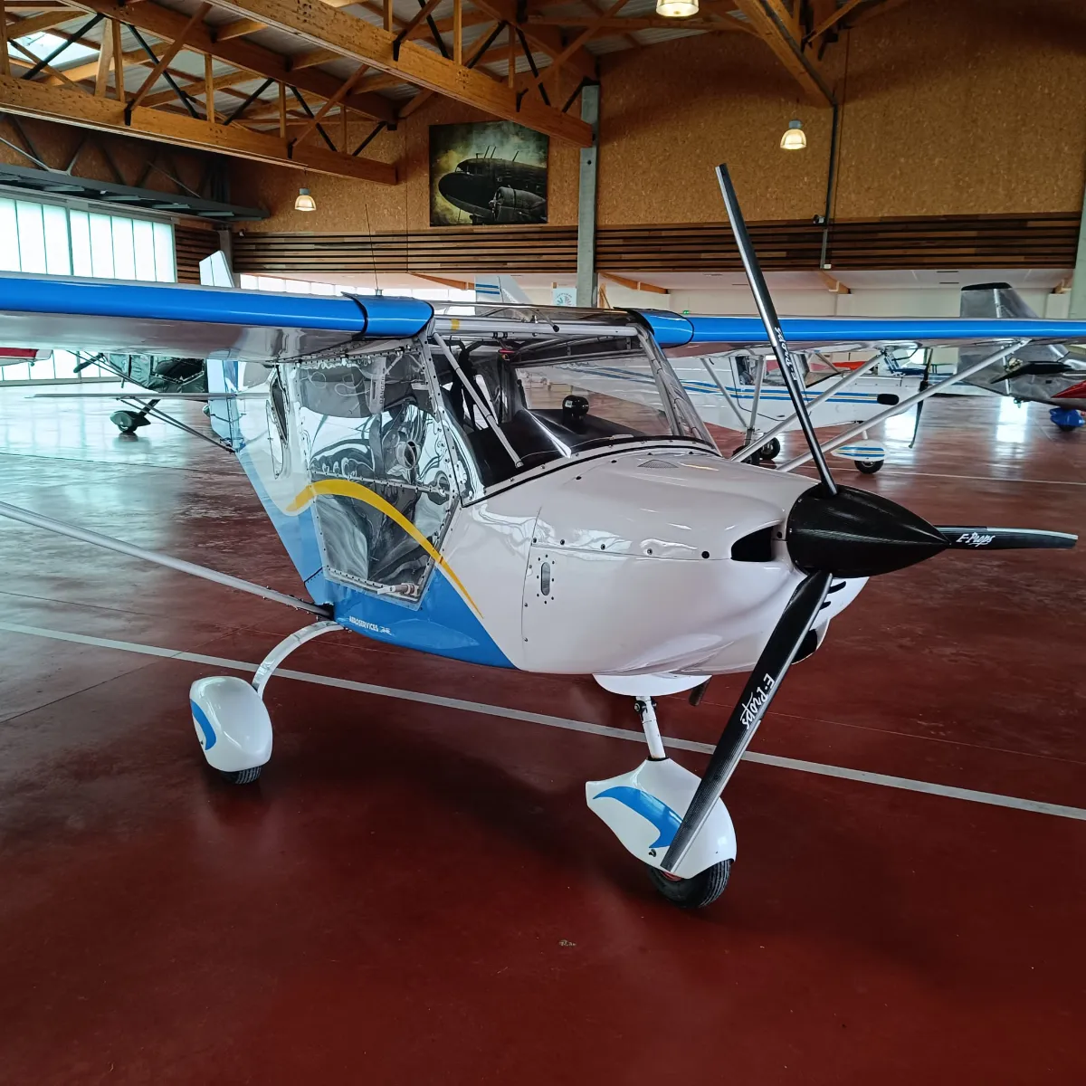 Ulm à vendre - Multiaxe - Super Guepard Club