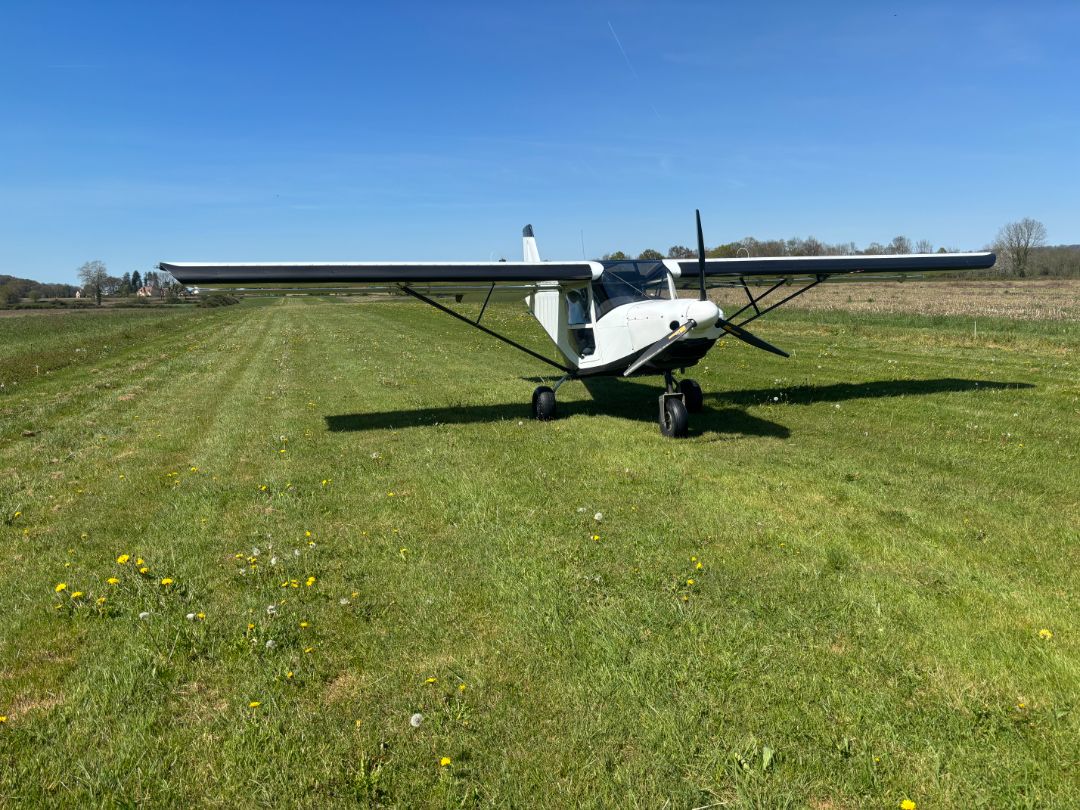 Ulm à vendre - Multiaxe - Savannah S