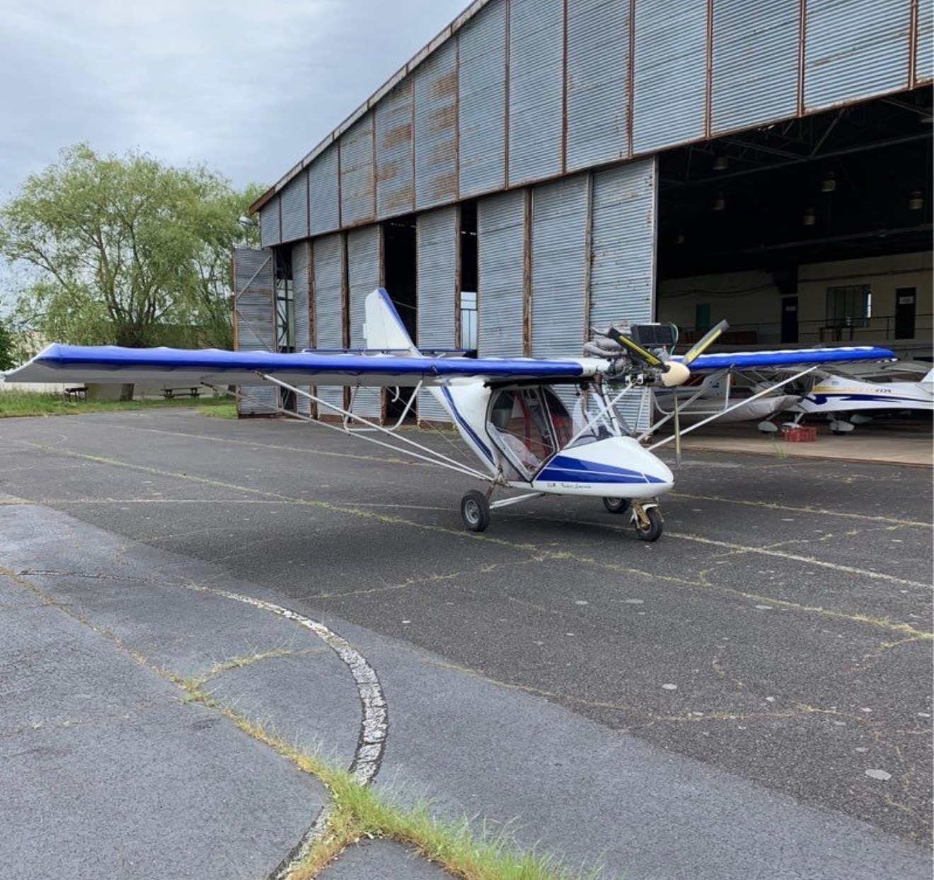 Ulm à vendre - Multiaxe - Spring Bok 582