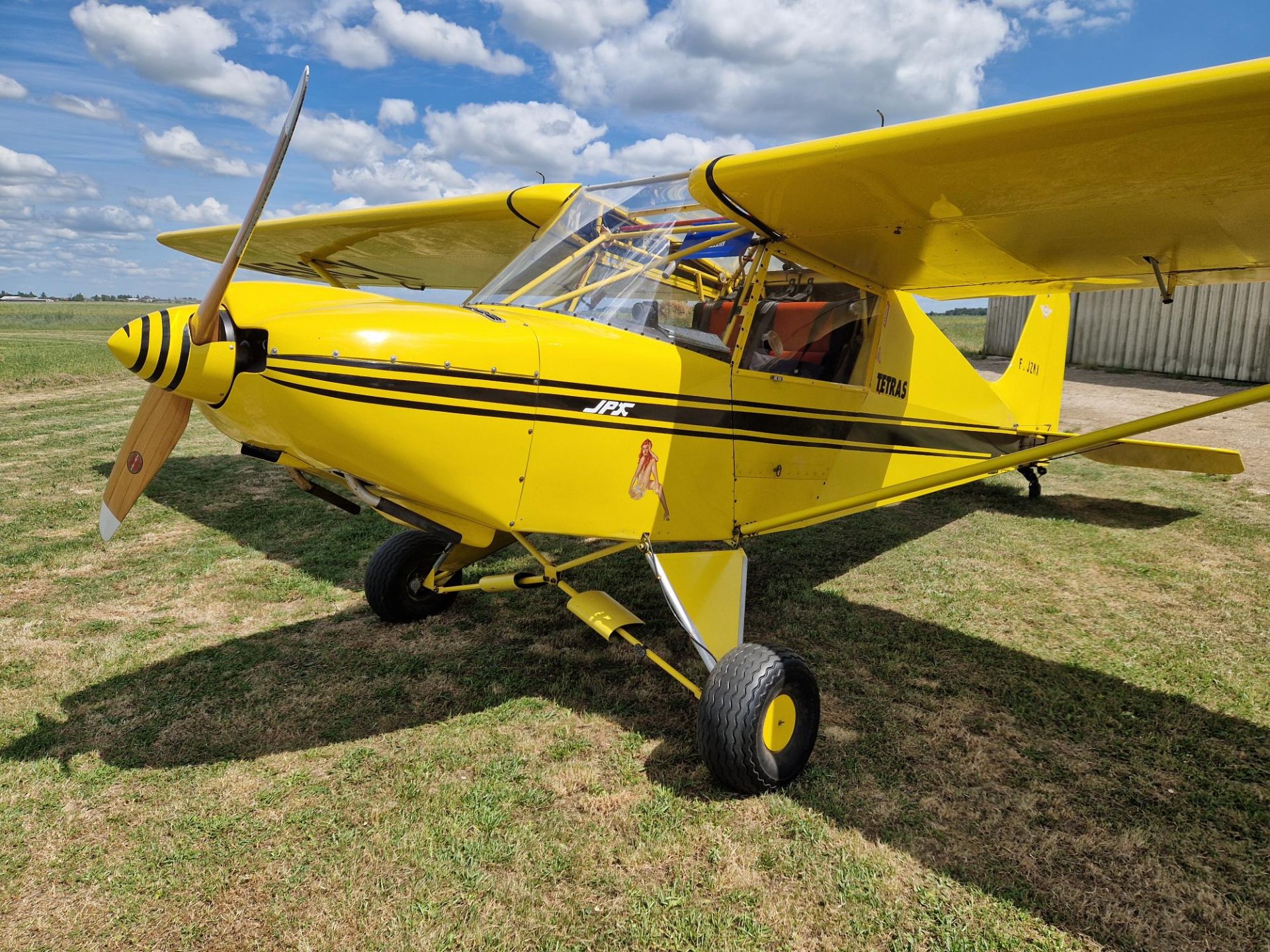 Ulm à vendre - Multiaxe - Tetras B Humbert