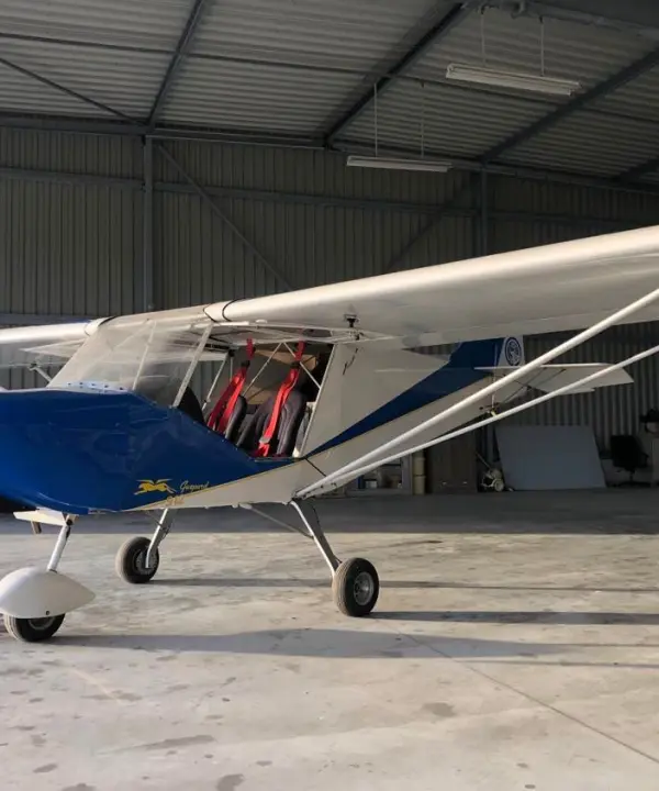 Ulm à vendre - Multiaxe - ULM GUEPARD