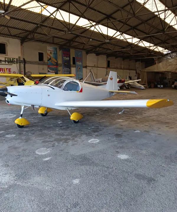 Ulm à vendre - Multiaxe - ALPI AVIATION PIONEER 200 (P200)