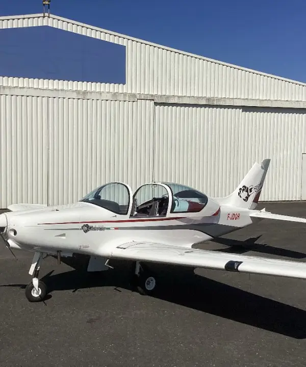 Ulm à vendre - Multiaxe - Vends Pioneer P300 Griffon