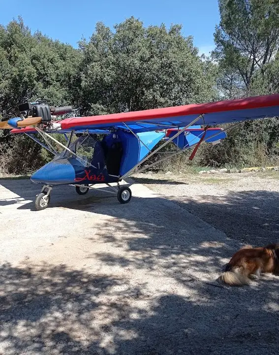 Ulm à vendre - Multiaxe - X air Randkar