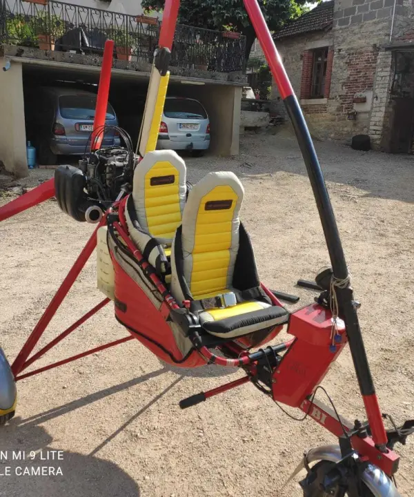 Ulm à vendre - Pendulaire - Ulm