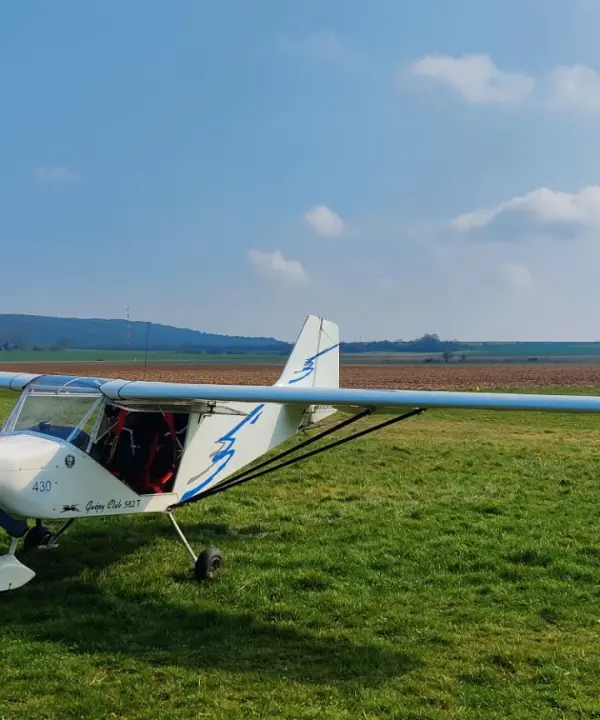 Ulm à vendre - Multiaxe - GUEPY 582