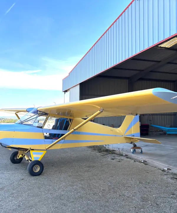 Ulm à vendre - Multiaxe - Tetras Humbert