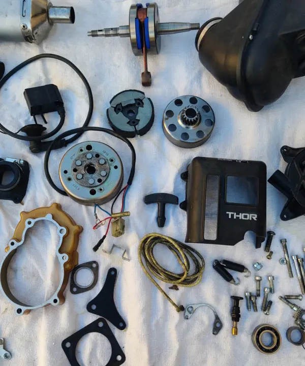 Ulm à vendre - Autres - Moteur POLINI Thor 100