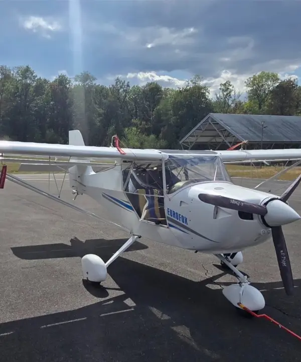 Ulm à vendre - Multiaxe - Eurofox à vendre