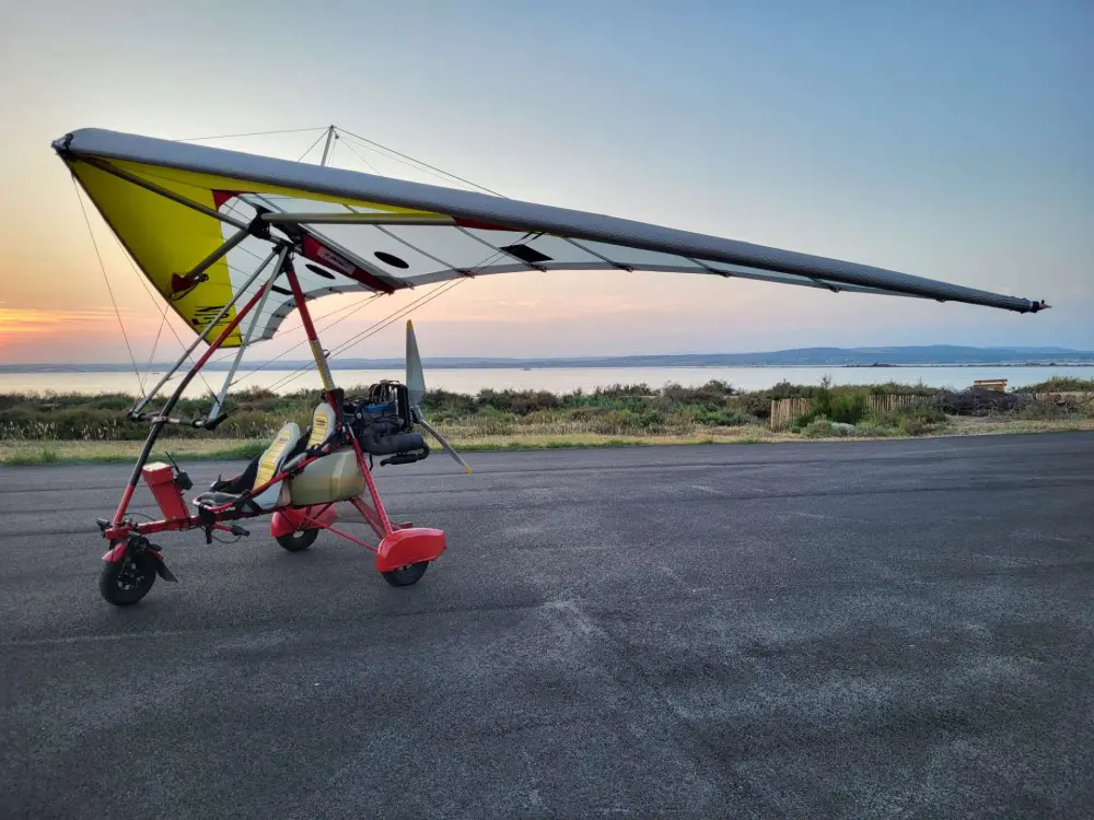 Ulm à vendre - Pendulaire - IFUN16 et GTBI 582
