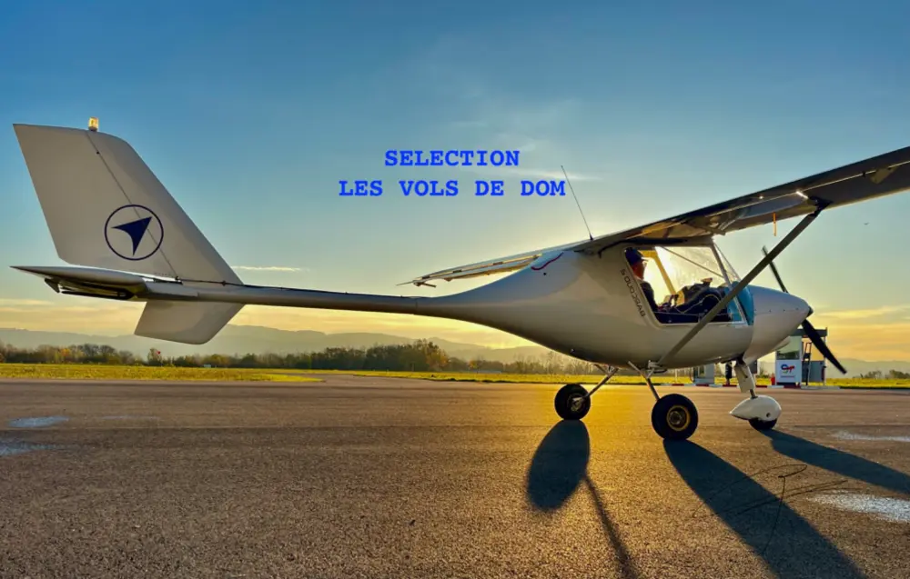 Ulm à vendre - Multiaxe - STORCH - SELECTION LES VOLS DE DOM