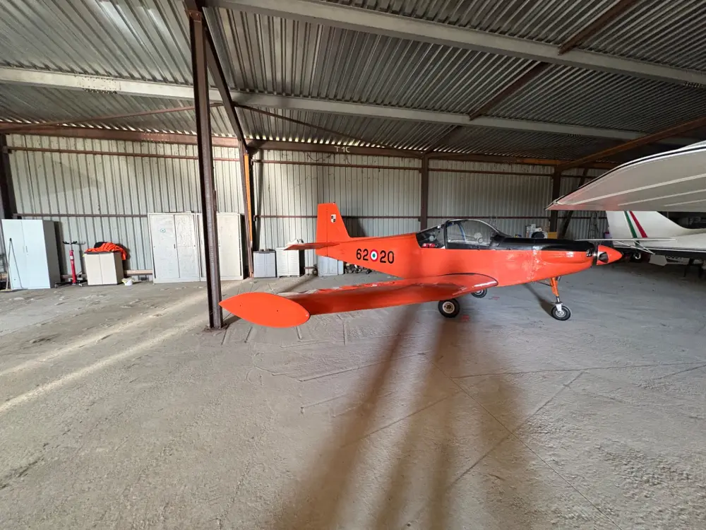 Ulm à vendre - Multiaxe - asso 6
