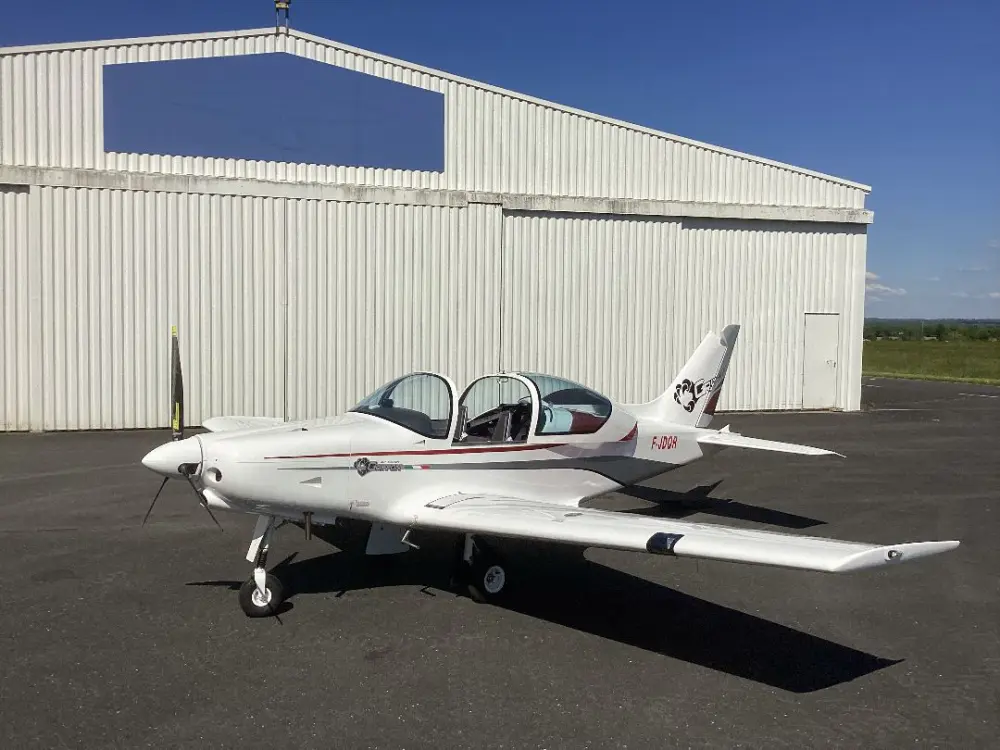 Ulm à vendre - Multiaxe - Vends Pioneer P300 Griffon
