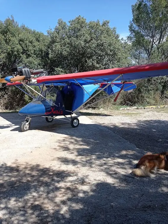 Ulm à vendre - Multiaxe - X air Randkar