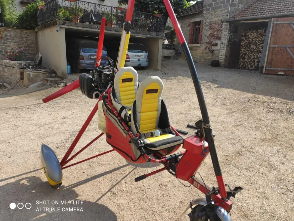 Ulm à vendre - Pendulaire - Ulm