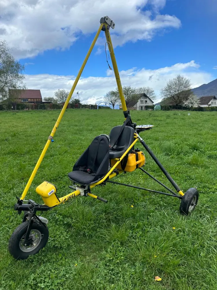 Ulm à vendre - Pendulaire - Chariot avec aile pendulaire