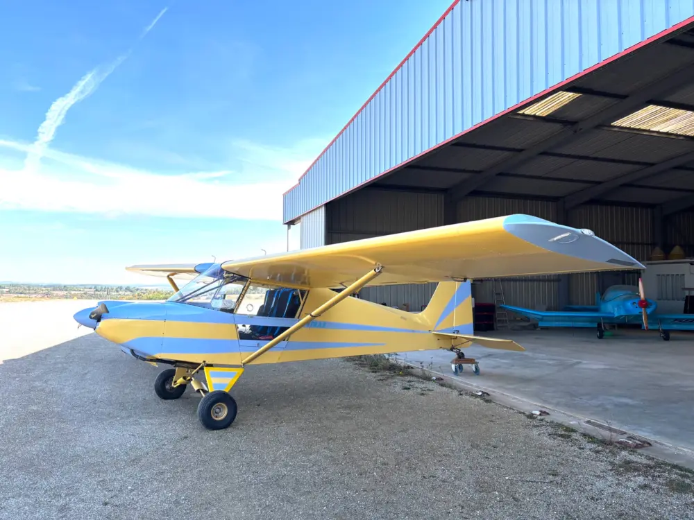 Ulm à vendre - Multiaxe - Tetras Humbert