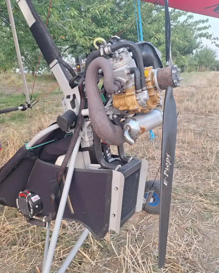 Troisième vue de Pendulaire à vendre – PIXEL AIR CREATION à LF2436
