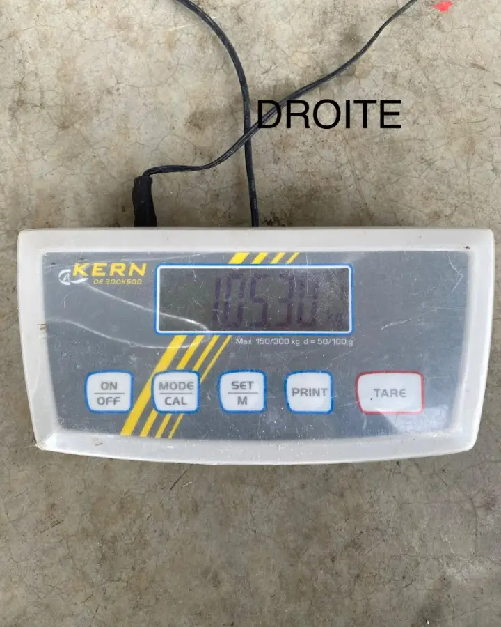 Troisième vue de Multiaxe à vendre – MCR 01 ULC à Nogaro