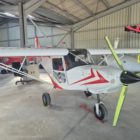 Vue 5 de Multiaxe à vendre – ICP Savannah-Rotax ULS 912 S injection à Montbéliard