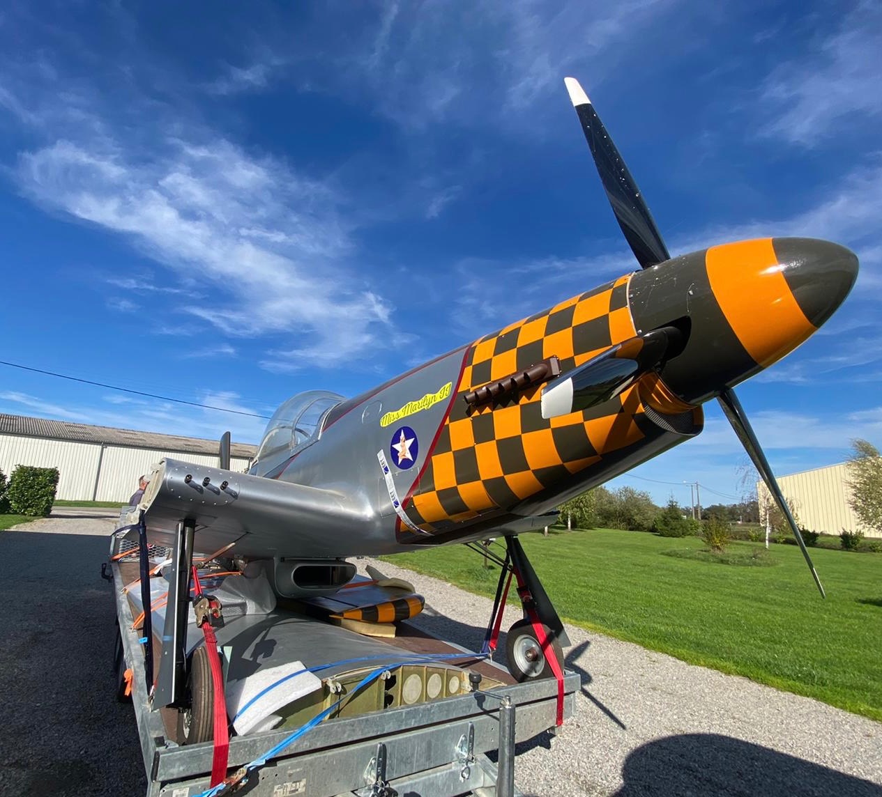 Ulm à vendre - Multiaxe - P 51 51 Mustang Loehle